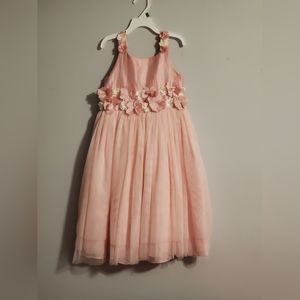 Pink Blush Tulle Dress